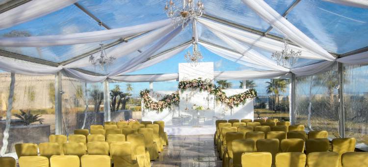 瑞享突尼斯湖酒店(Mövenpick Hotel du Lac Tunis)图片