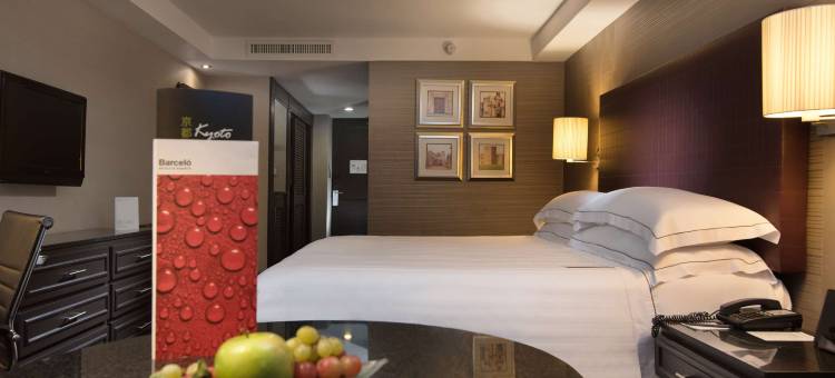 圣多明戈巴塞罗酒店(Barceló Santo Domingo)图片