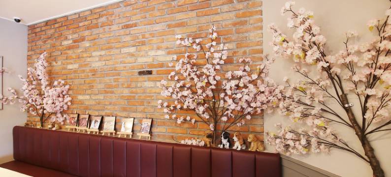 R 温泉酒店(R.I Spa Hotel)图片