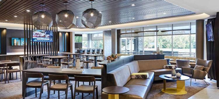 SpringHill Suites Orlando at Millenia图片