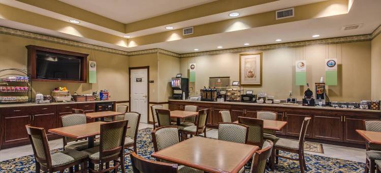 坦帕布兰登丽怡酒店(Country Inn & Suites by Radisson, Tampa/Brandon, FL)图片
