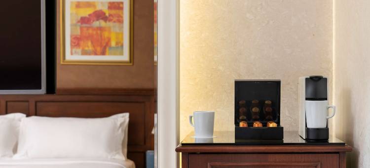 塔克西姆西方酒店(Occidental Taksim)图片