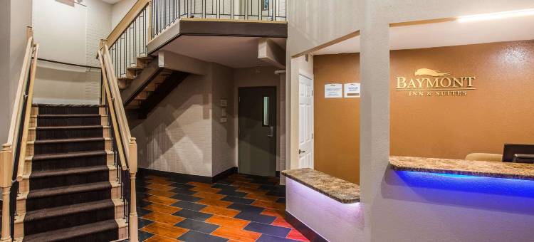 阿普尔顿温德姆呗盟酒店(Baymont by Wyndham Appleton)图片
