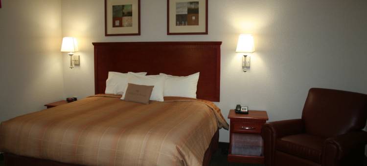 Candlewood Suites 埃文代尔区- 新奥尔良(Candlewood Suites Avondale-New Orleans)图片