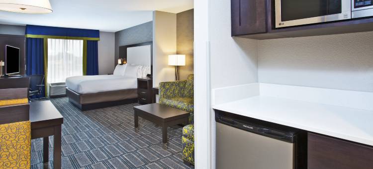 安阿伯西智选假日套房酒店(Holiday Inn Express & Suites Ann Arbor West)图片