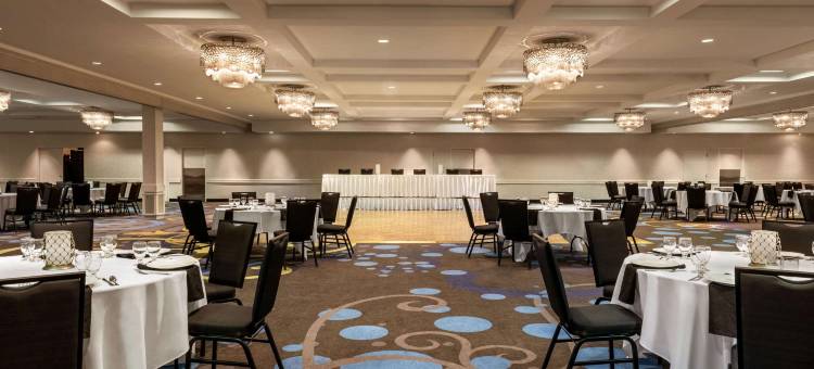 斯普林菲尔德市中心温德姆酒店(Wyndham Springfield City Centre)图片