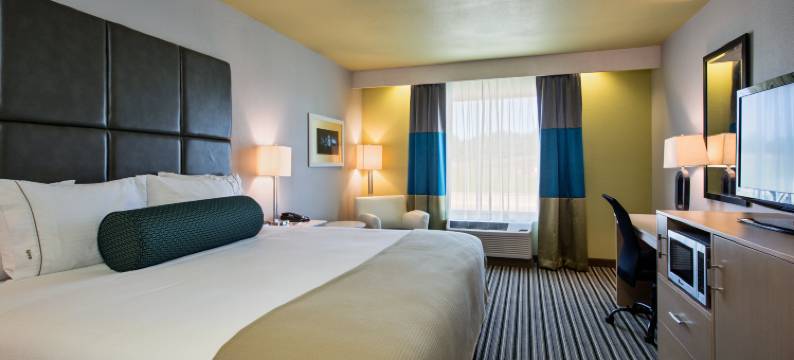 智选假日套房酒店卡莱尔(Holiday Inn Express & Suites CARLISLE - HARRISBURG AREA by IHG)图片