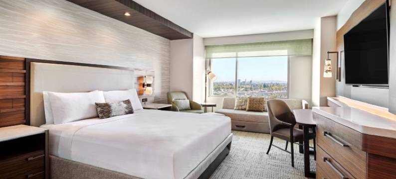 阿纳海姆度假区 JW 万豪酒店(JW Marriott, Anaheim Resort)图片