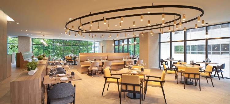 希尔顿花园酒店首尔江南(Hilton Garden Inn Seoul Gangnam)图片