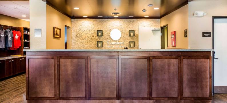 尼亚加拉瀑布大道舒适套房酒店(Comfort Inn & Suites Niagara Falls Blvd USA)图片