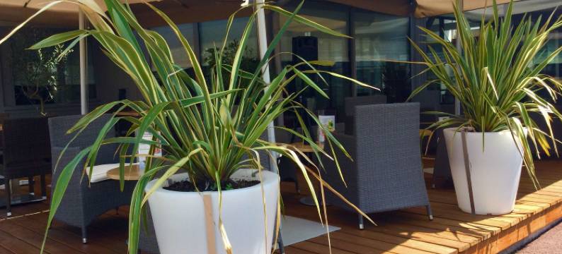 Campanile NATURE – Bordeaux Lac图片