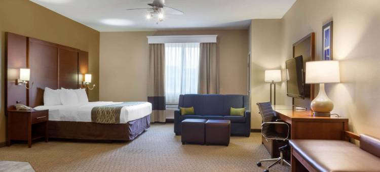 阿马里洛东部舒适套房酒店(Comfort Inn & Suites Amarillo East)图片