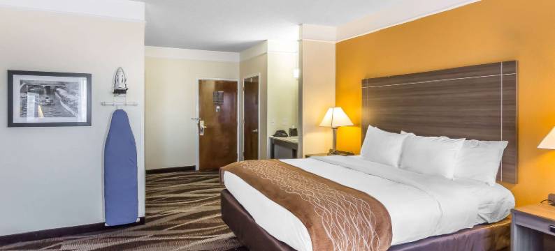 I-10东舒适酒店-近AT&T中心(Comfort Inn Near Frost Bank Center)图片