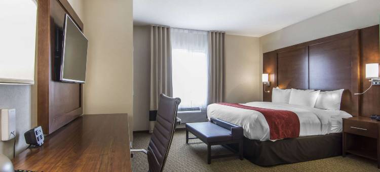 里贾纳舒适套房酒店(Comfort Suites Regina)图片