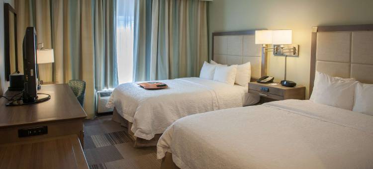 希尔顿欢朋套房酒店-新奥尔良爱姆伍德(Hampton Inn & Suites New Orleans-Elmwood/Clearview Parkway Area)图片