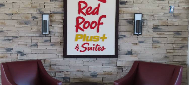 伊利红屋顶普拉斯套房酒店(Red Roof Inn Plus & Suites Erie)图片