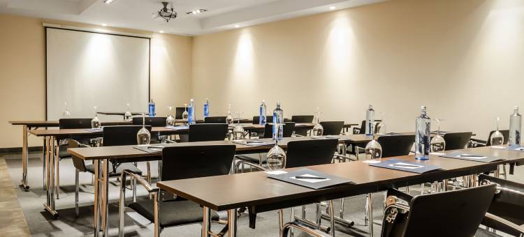 欧洲之星艾斯塔雷吉亚赫雷斯酒店(Eurostars Asta Regia Jerez)图片