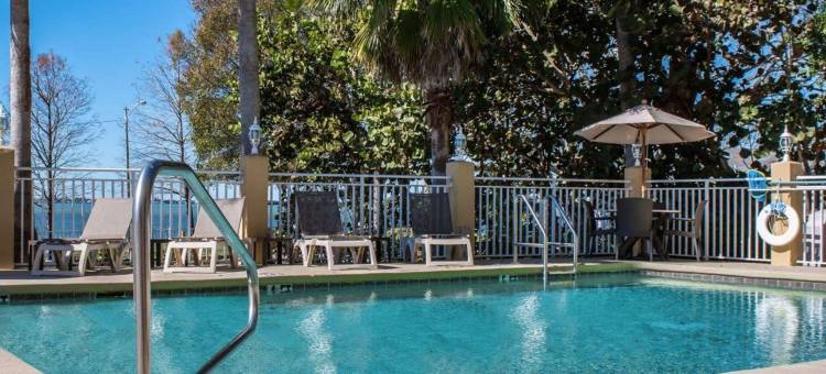 克利尔沃特-但尼丁舒适套房酒店(Comfort Suites Clearwater - Dunedin)图片