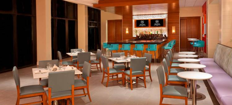 奥兰多布纳维斯塔湖喜来登度假酒店(Sheraton Orlando Lake Buena Vista Resort)图片