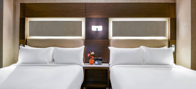 布鲁克林市中心假日酒店(Holiday Inn BROOKLYN DOWNTOWN by IHG)图片