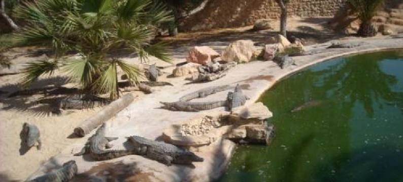 门泽尔卡哈酒店(Menzel Sonia Caja)图片