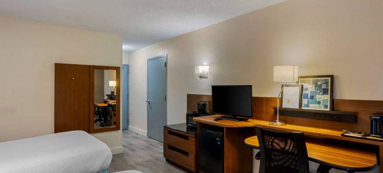 舒适套房酒店-芒特劳雷尔-费城(Comfort Inn & Suites Mt Laurel-Philadelphia)图片