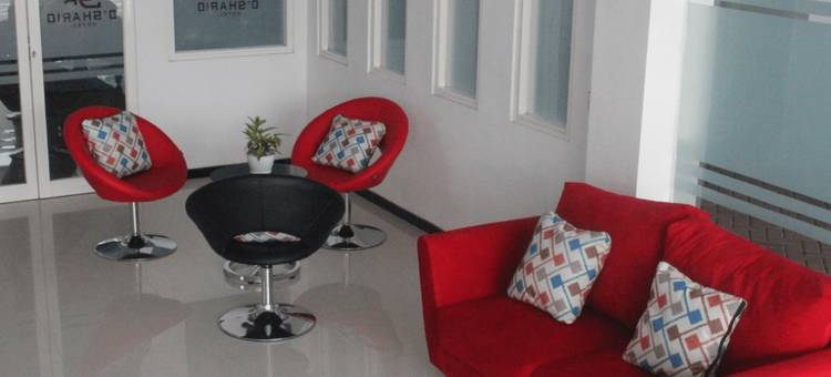 凯潘延沙里奥酒店(D'Shario Hotel- Kepanjen)图片