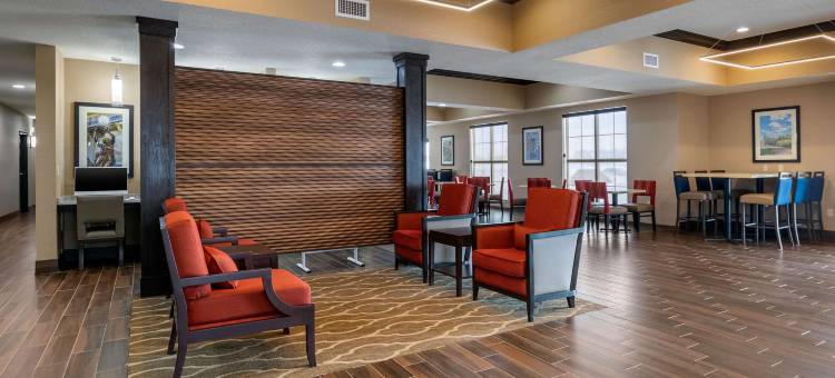 锡达拉皮兹CID东爱荷华机场舒适套房酒店(Comfort Inn & Suites Cedar Rapids Cid Eastern Iowa Airport)图片