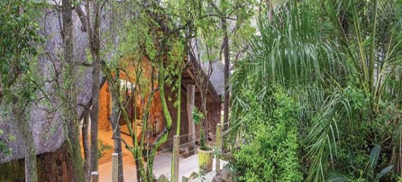 豹山私人动物保护区酒店(Leopard Hills Private Game Reserve)图片