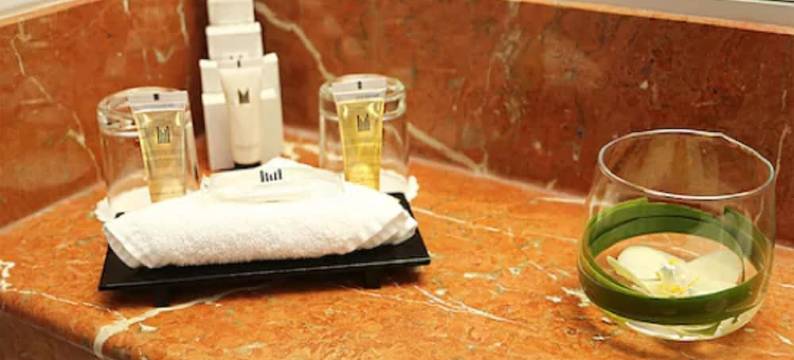 巴黎戴高乐千禧酒店(Millennium Hotel Paris Charles De Gaulle)图片