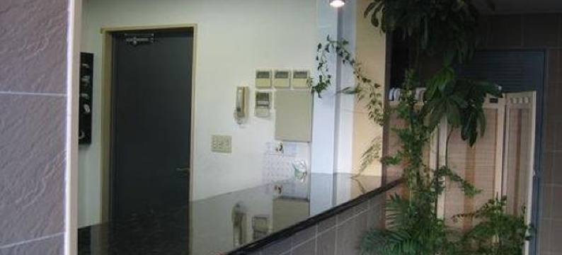 八王子城市酒店(Hachioji Urban Hotel)图片