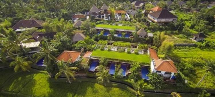 巴厘岛乌布绿林酒店(Ubud Green Resort Villas Powered by Archipelago)图片