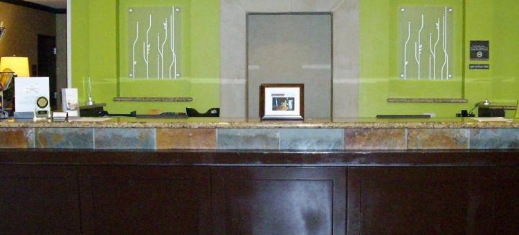 埃尔帕索希尔顿花园酒店/大学(Hilton Garden Inn El Paso / University)图片