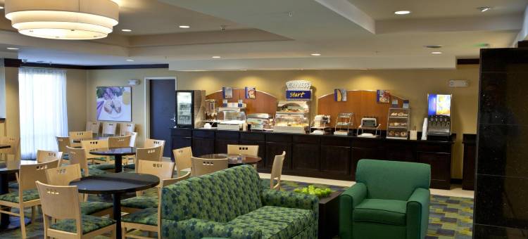 Holiday Inn Express & Suites Lansing-Dimondale图片