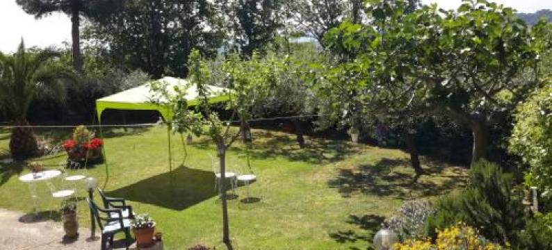 安东尼亚拉波罗住宿加早餐旅馆(B&B l'Albero di Antonia)图片