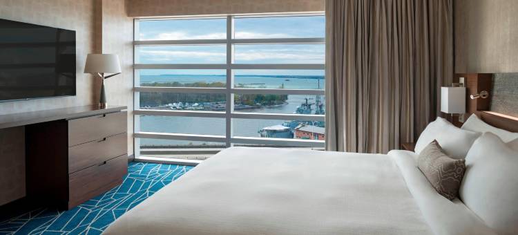 布法罗莱康港中心万豪酒店(Buffalo Marriott at Lecom Harborcenter)图片