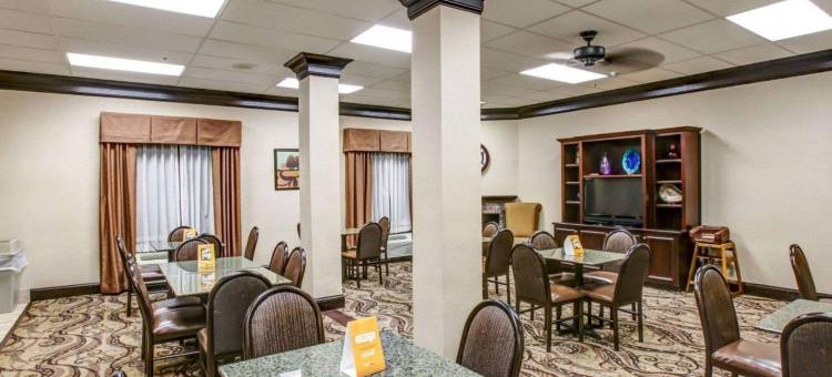 河闸商场舒适套房酒店(Comfort Suites at Rivergate Mall)图片