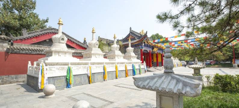 钟楼地铁站老城根2居室公寓(西北一路1号分店)图片