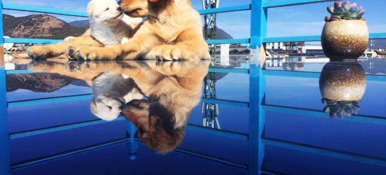 栖心花园美宿丽园栖心客栈(吉祥路分店)图片