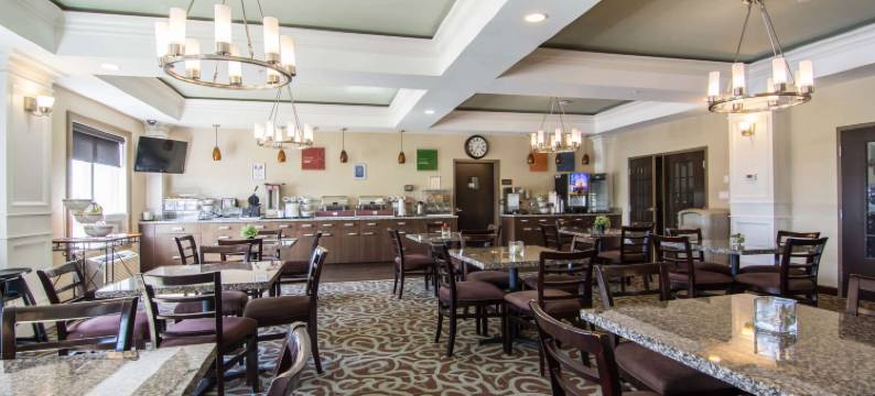 舒适套房酒店(Comfort Inn & Suites)图片