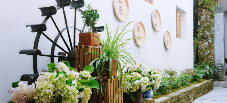 西递胡同李筑梦居客栈图片