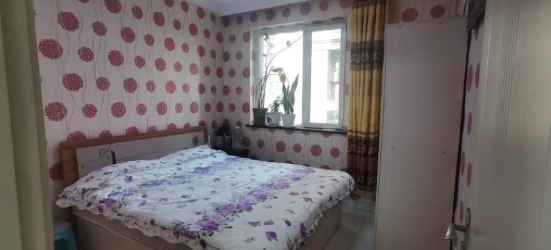 乐家丹姐民宿(蒲昌路分店)图片