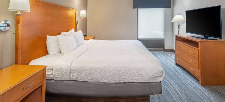 纳什维尔范德比尔特埃利斯顿广场欢朋套房酒店(Hampton Inn & Suites Nashville-Vanderbilt-Elliston Place)图片