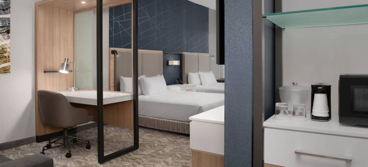 费耶特维尔 I 95万豪春丘酒店(SpringHill Suites Fayetteville I 95)图片