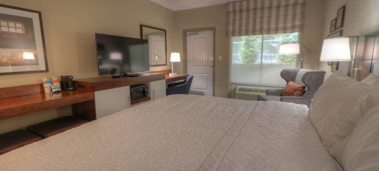 希尔顿欢朋酒店-加特林堡历史自然路径(Hampton Inn Gatlinburg Historic Nature Trail)图片