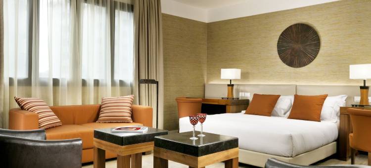 米兰套房酒店(Milan Suite Hotel)图片