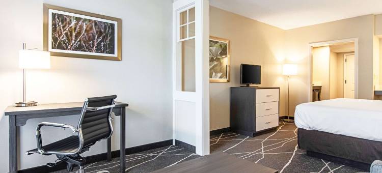 凯隆柳江河酒店(Clarion Inn Willow River)图片