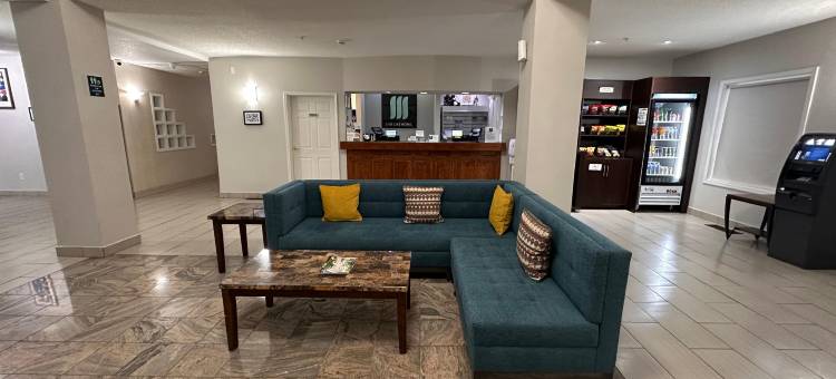麦迪逊机场美茵斯坦套房酒店(MainStay Suites Madison Airport)图片