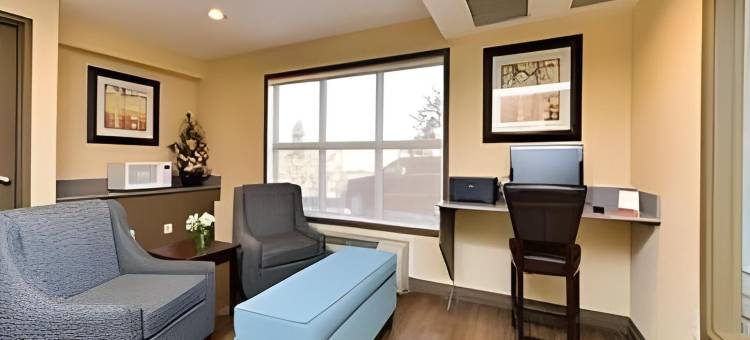 卡尔加里-机场速8酒店(Super 8 by Wyndham Calgary/Airport)图片