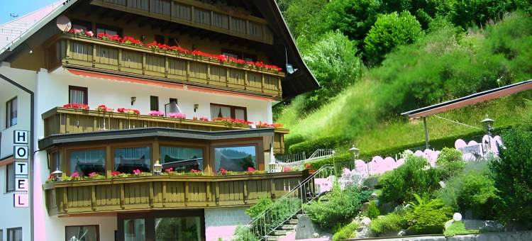 锡尔贝费尔森酒店(Hotel Silberfelsen)图片